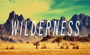 wilderness 400x247